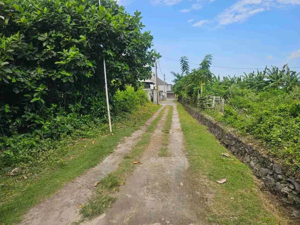 DIJUAL TANAH MERTANADI SEMINYAK KUTA