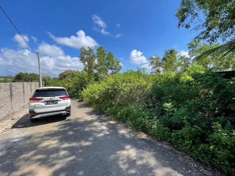 Di Jual Tanah Luas 200 Are Di Jl. Gayang Sari ,Kutuh, Kuta Selatan