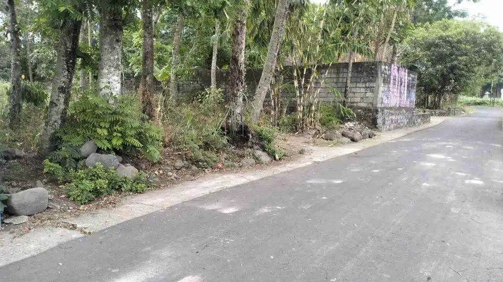 Di jual Tanah pekarangan di manisrenggo 500m ld 14m
