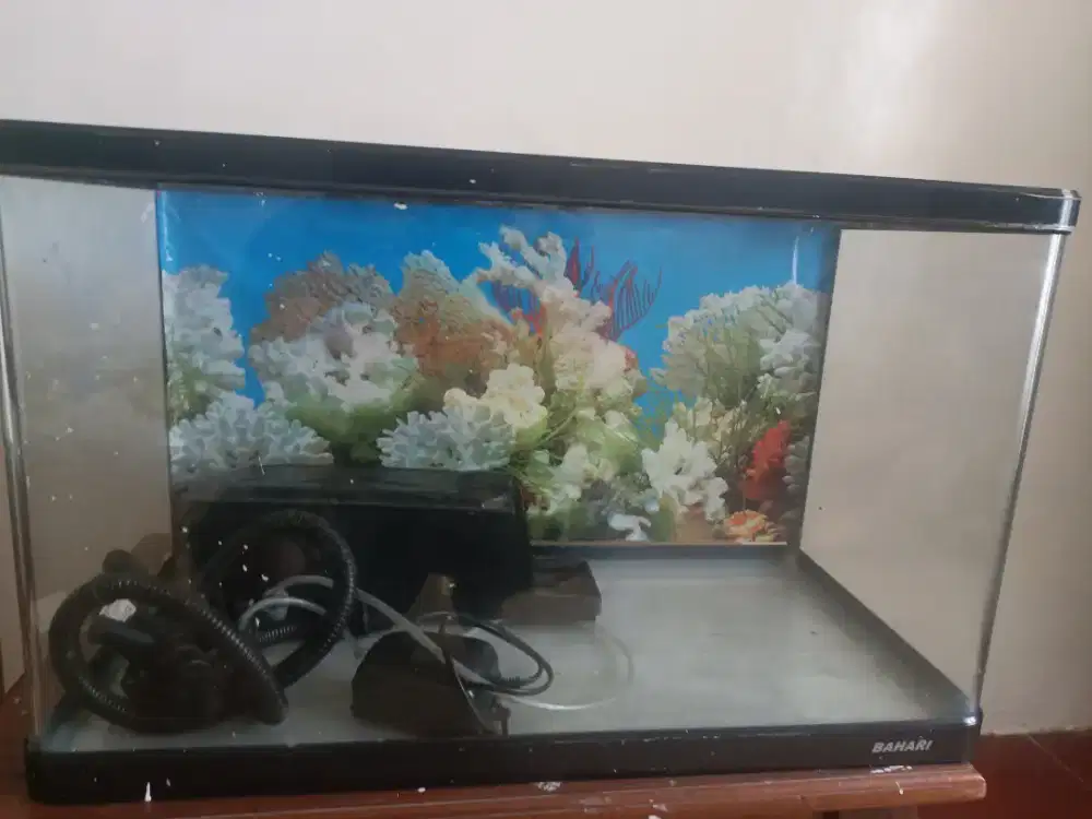 Aquarium merk bahari ukuran 60 liter