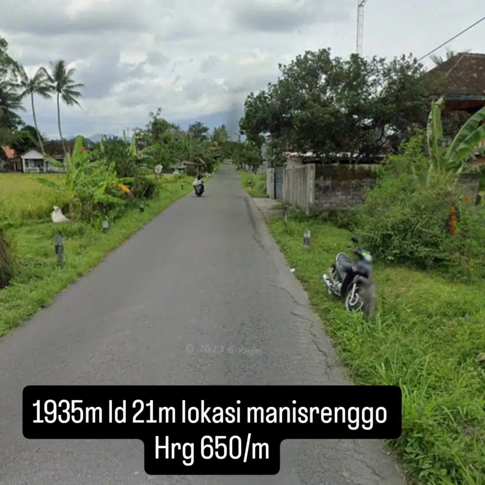 Sawah zona kuning di manisrenggo mangku jalan raya