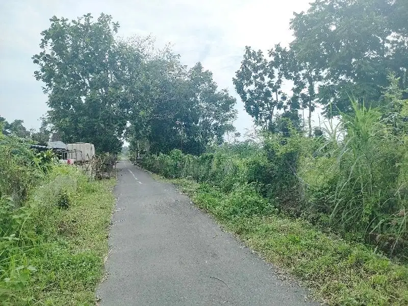 Dijual tanah sawah view merapi di manisrenggo