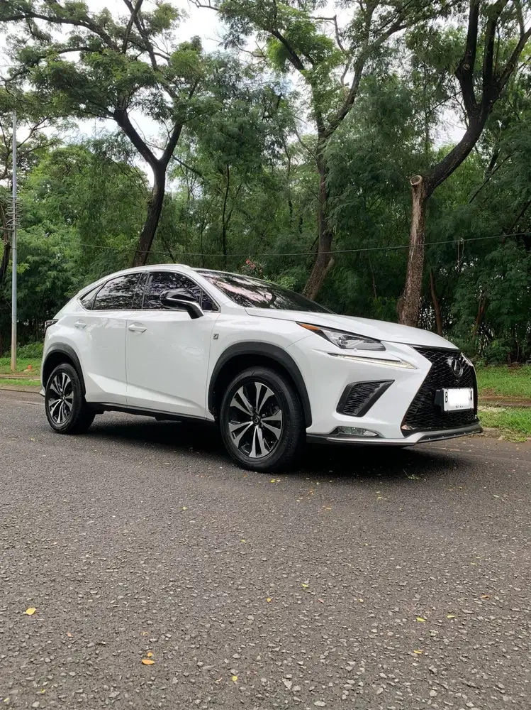 LEXUS NX300 F-SPORT AT 2018