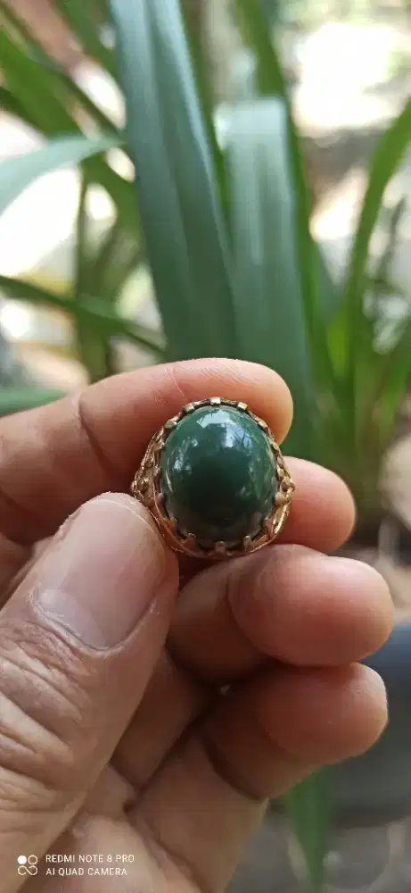Cincin batu badar lumut