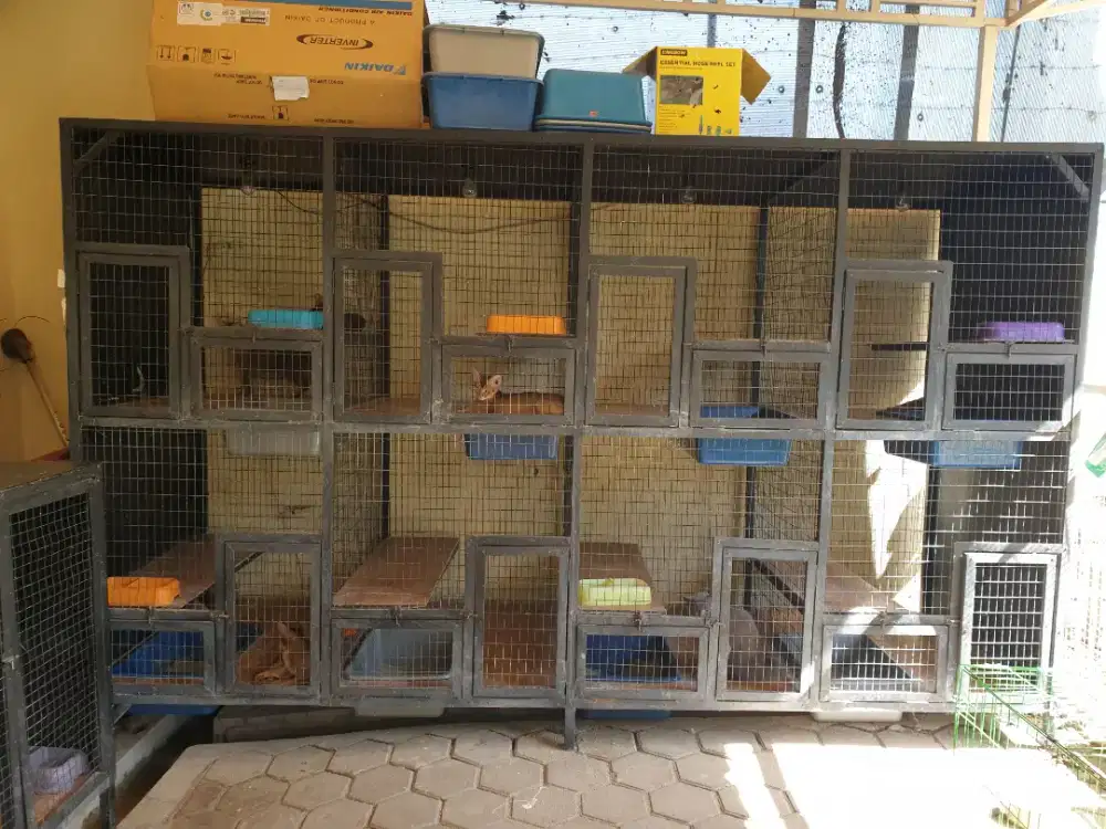 Bekas kandang kucing