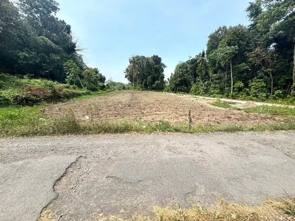Belakang Kampus UII Jogja, Tanah Siap Bangun