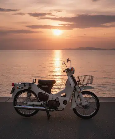 Honda Pispot Pajak Hidup