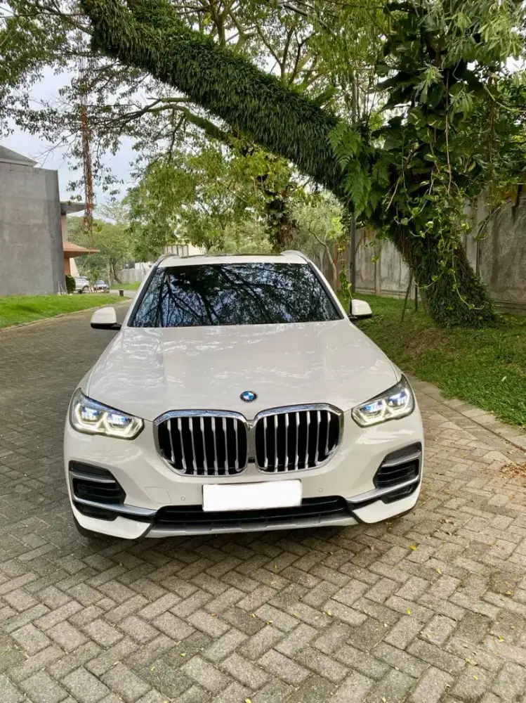 Bmw X5 xdrive 40i AT tahun 2023
