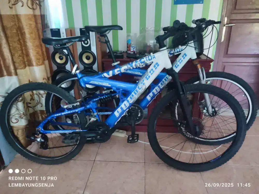 Sepeda polygon copule