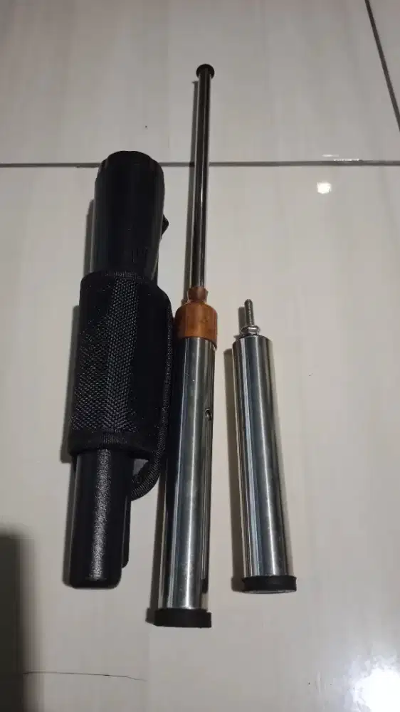 Ionica gold/metal detector