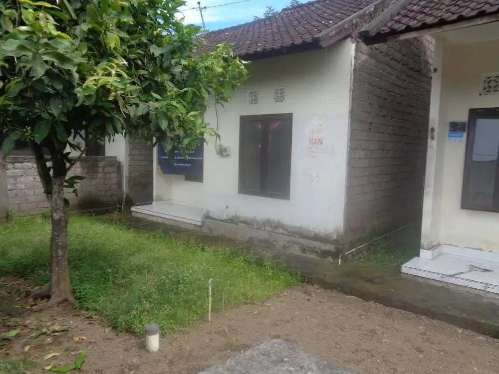 Rumah Seharga Rp 126jt di Jembrana - Bali
