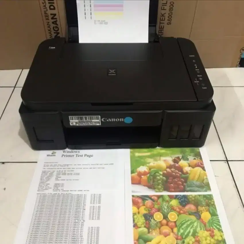 Printer canon G2000 print scan copy