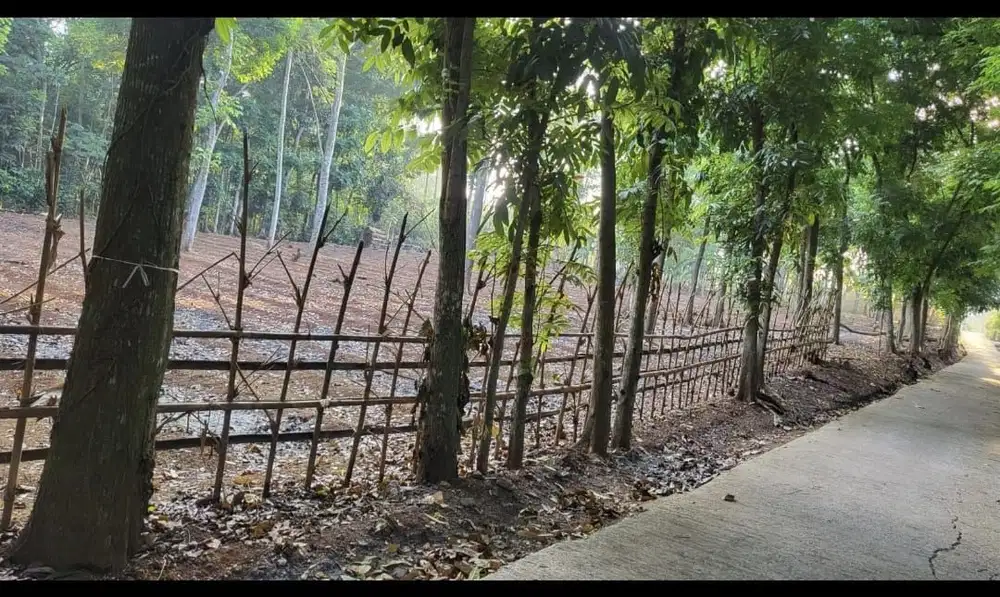 Dijual Murah Tanah Untuk Cluster atau Gudang Dekat Kawasan BIC Wanakerta Bungursari