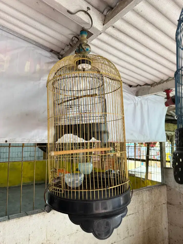 Kandang Berbagai jenis Burung (Jual Borongan) Harga untuk 3 kandang