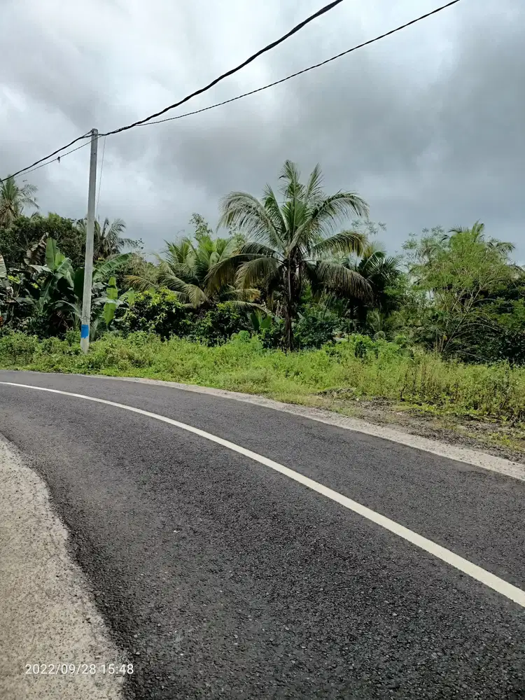 Tanah view sungai kecil dekat exit toll Antosari Bali