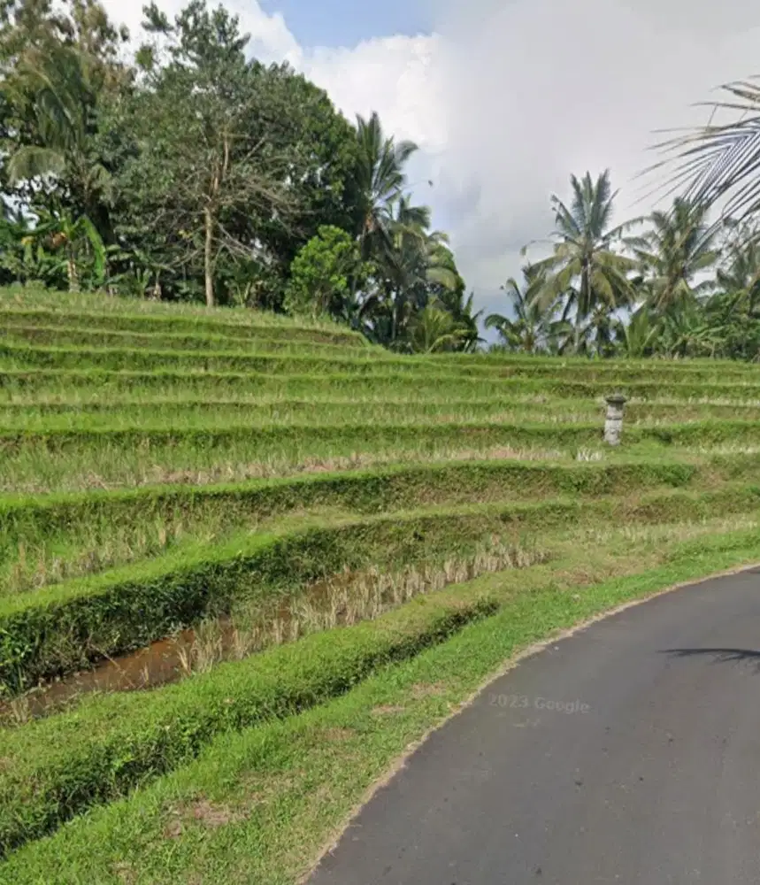 Tanah view sawah dan laut di Megati Tabanan Bali