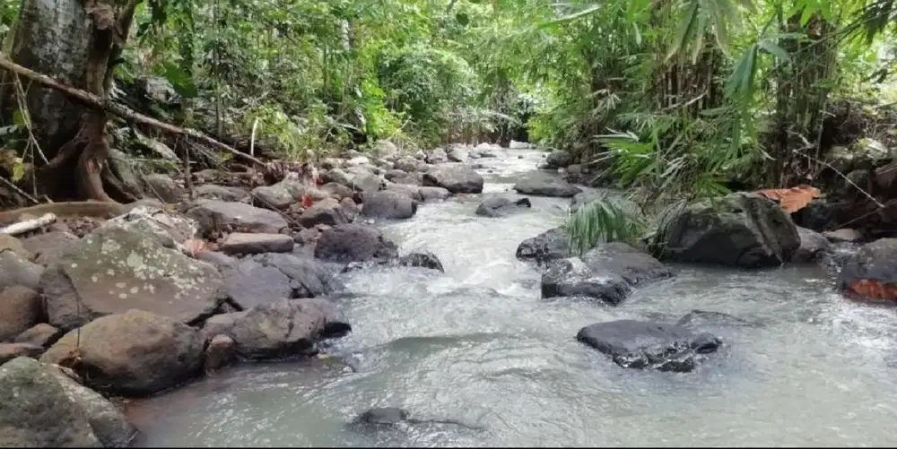 Tanah view sungai di Selemadeg Tabanan dekat air terjun