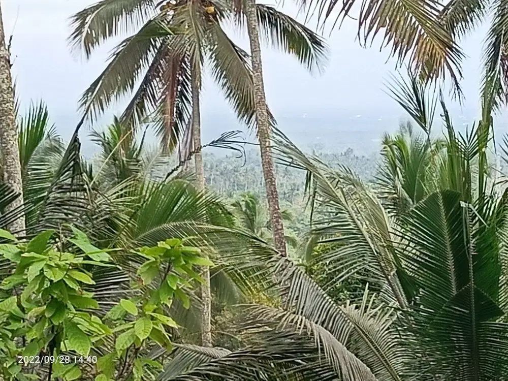 Tanah view gunung dan lembah dekat villa Bali Palm