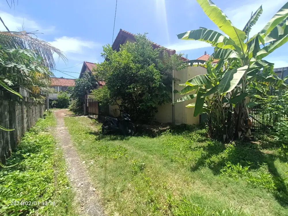 Yellow Zone Land for Leasehold in Kesambi Kerobokan Bali