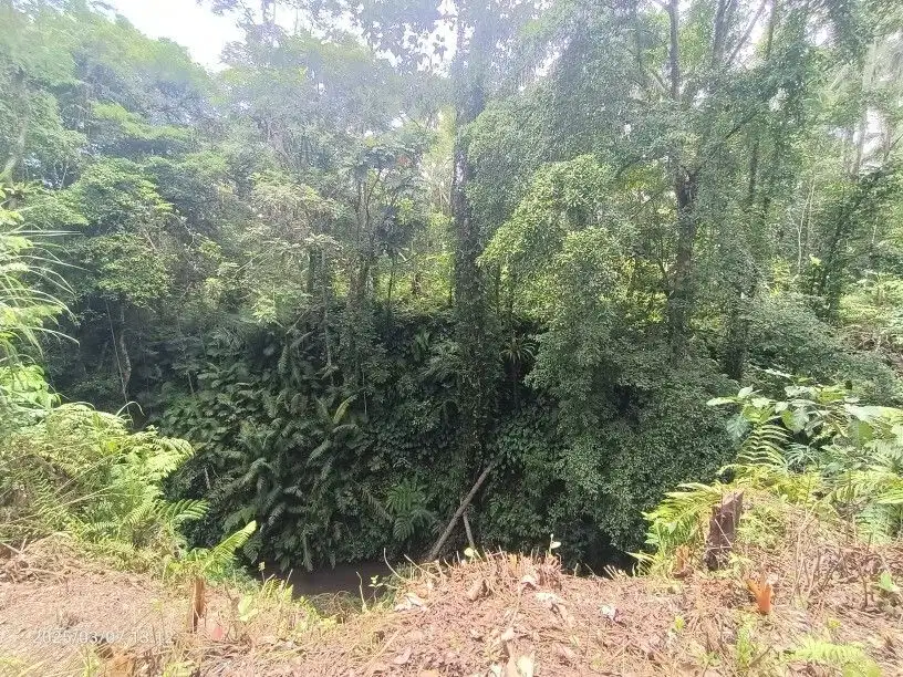 Tanah view Sungai dan Jungle di Kenderan dekat Ubud Bali