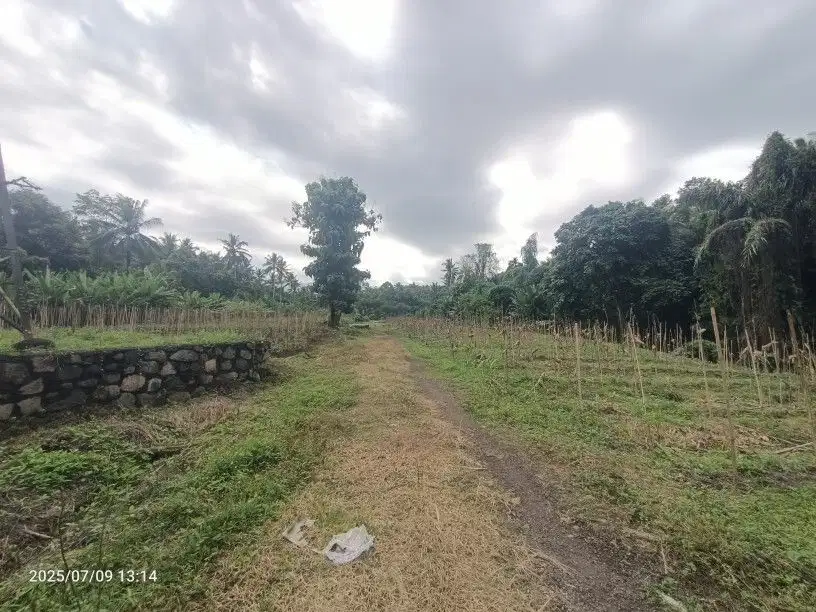 Tanah Zona Pink dekat Pantai Pekutatan dan Medewi Bali