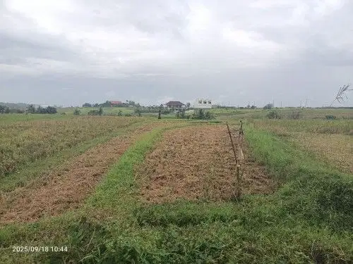 Tanah Zona Pink dekat Pantai Kelecung Tabanan Bali