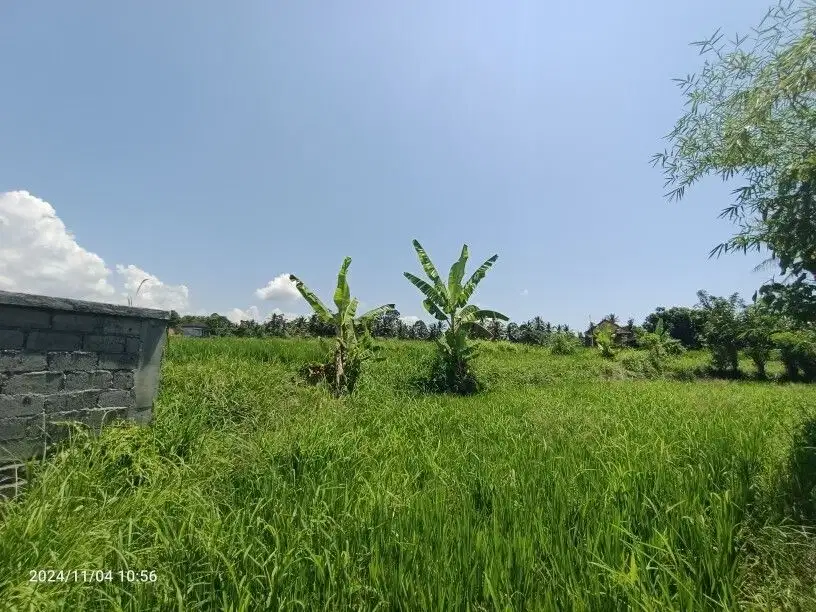 Pink Zone Land for Leasehold in Tebongkang Ubud
