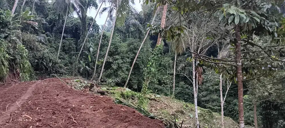 Tanah View Sungai dan Jungle 20 menit dari Central Ubud Bali
