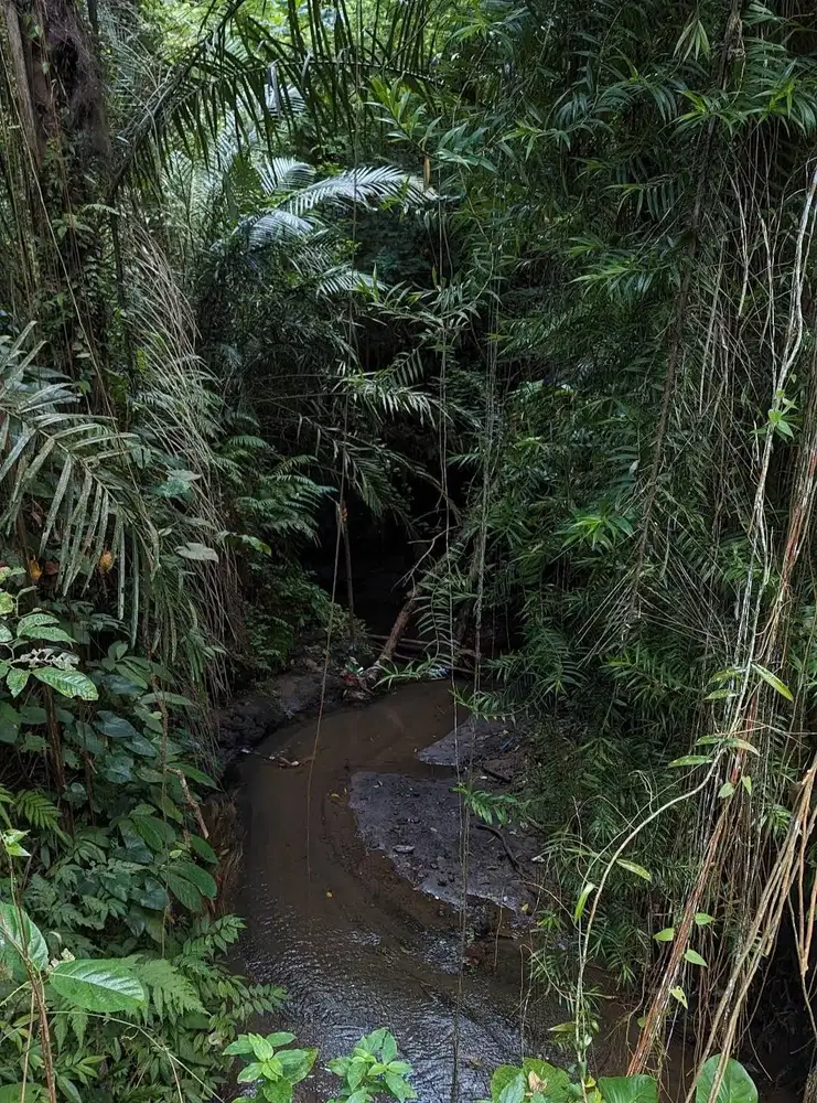 Tanah View Jungle di Bresela dekat Ubud Bali