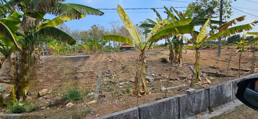 Jual Tanah di JL. Daendles Wedung Sedayulawas Brondong Lamongan.