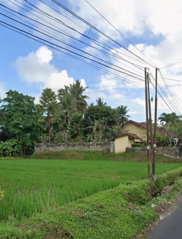 Tanah Zona Pink Di Jalan Utama Tirta Tawar Ubud Bali