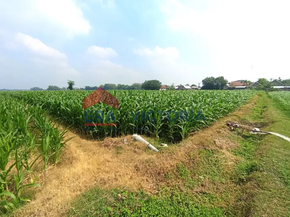 DIJUAL Tanah di Badas Kab Kediri 3 Menit dari Balai Desa Ringinpitu