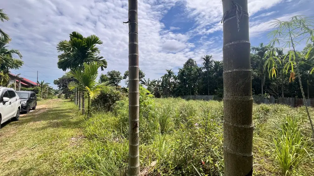 Tanah Murah Bagan Pete Kota Jambi