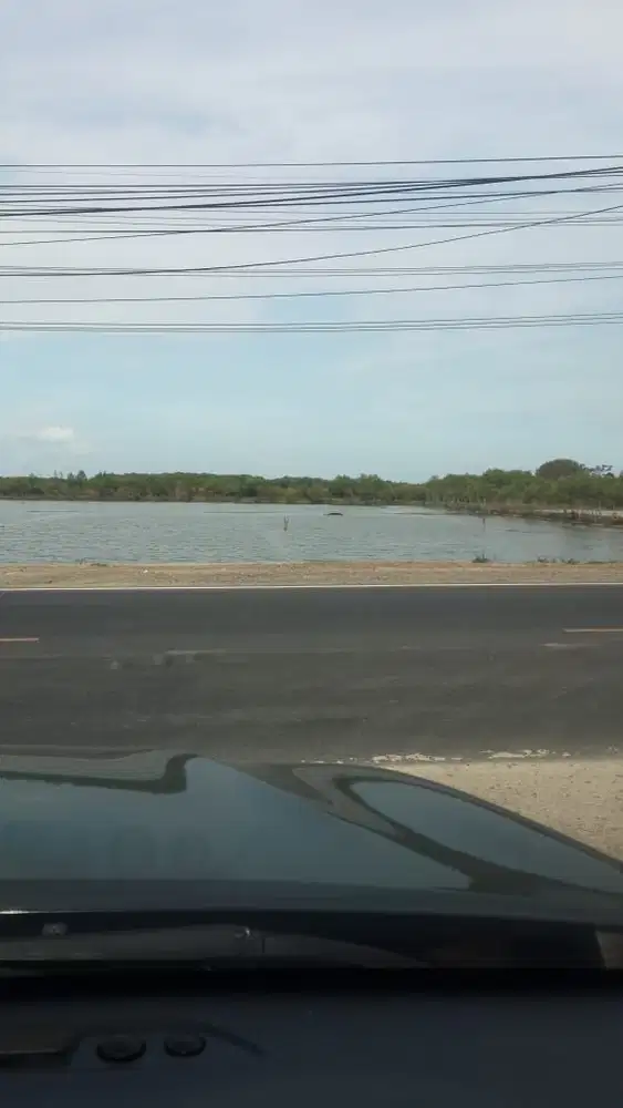 Tanah Raya Manyar Gresik