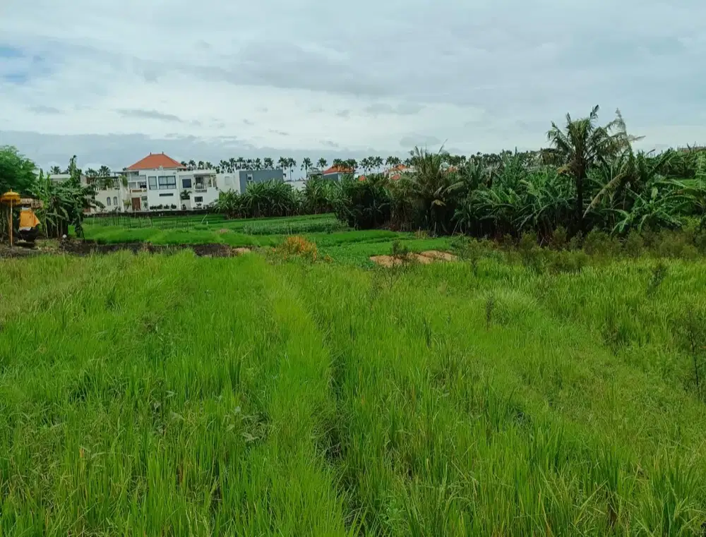 Tanah di Tumbak Bayuh dekat Pererenan dan Canggu Bali