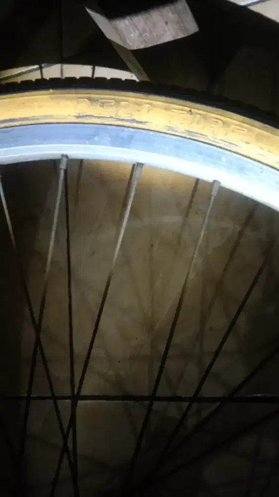 Ban sepeda 24 1 3/8 swallow bekas