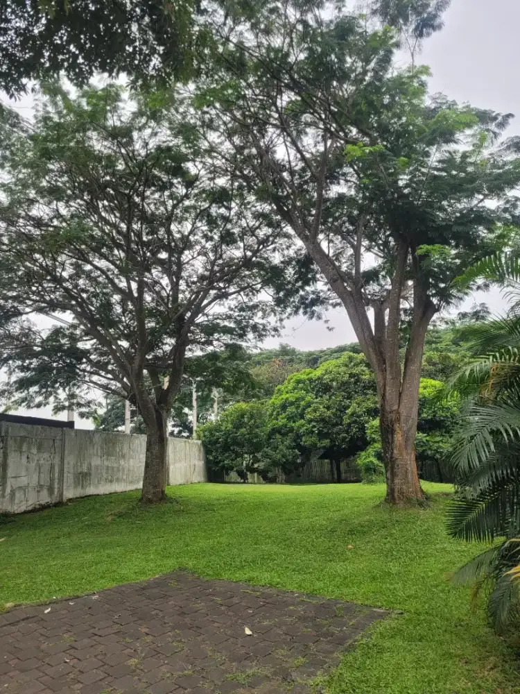 Dijual Cepat Kavling Avani BSD Murah Hoek Taman Belakang Jogging Track