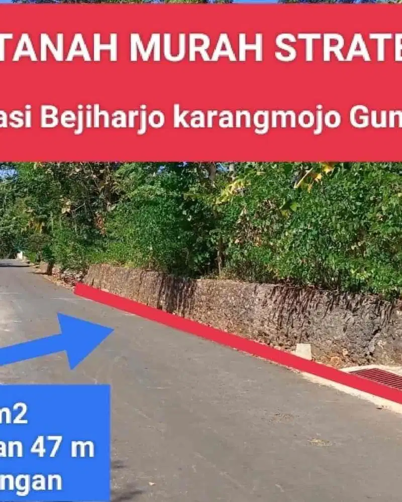 Jual tanah mangku jalan raya murah di Bejiharjo utara Kota Wonosari Gunung kidul luas 1364 m2 hanya 250 rb permeter