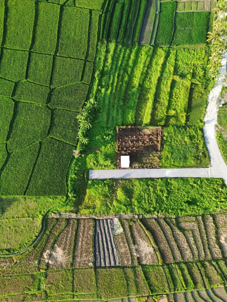 DIJUAL TANAH PANTAI KEDUNGU DEKAT CANGGU