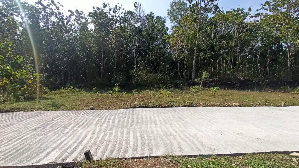 Investasi Tanah Teraman di Yogyakarta