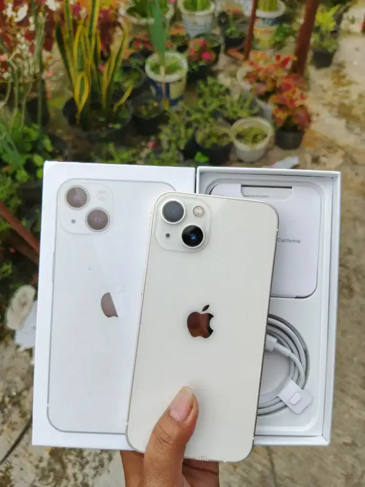 Iphone 13 128GB starlight/putih