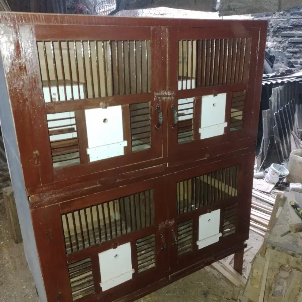Kandang burung 60x60 persegi 4 pintu