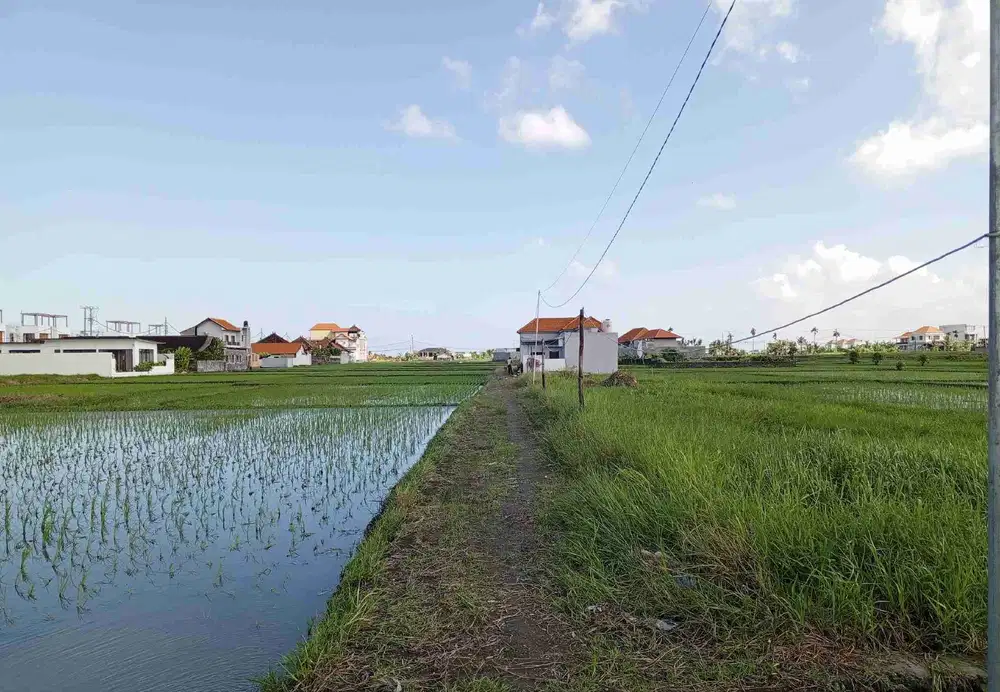 DIJUAL TANAH KECIL PANTAI SESEH MUNGGU