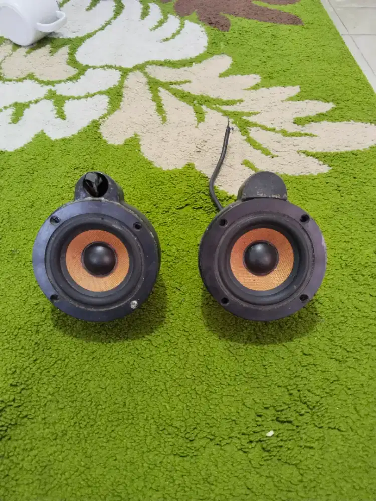 Speaker acoustic midrange made in USA