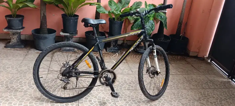 Jual Sepeda Gunung (MTB)