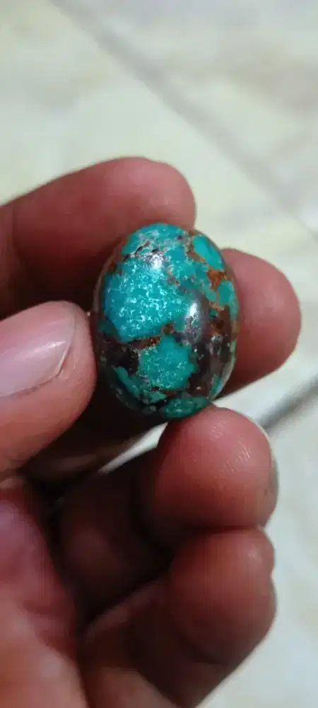 Pirus Persia lawasan jenong mewah
