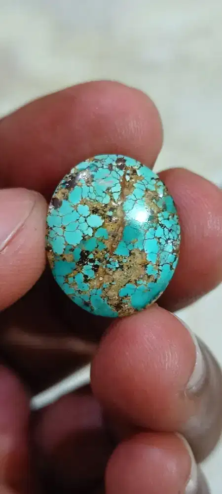 Pirus Persia lawasan mewah