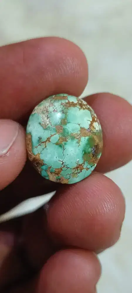 Pirus Persia lawasan mewah