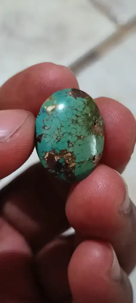 Pirus Persia lawasan mewah