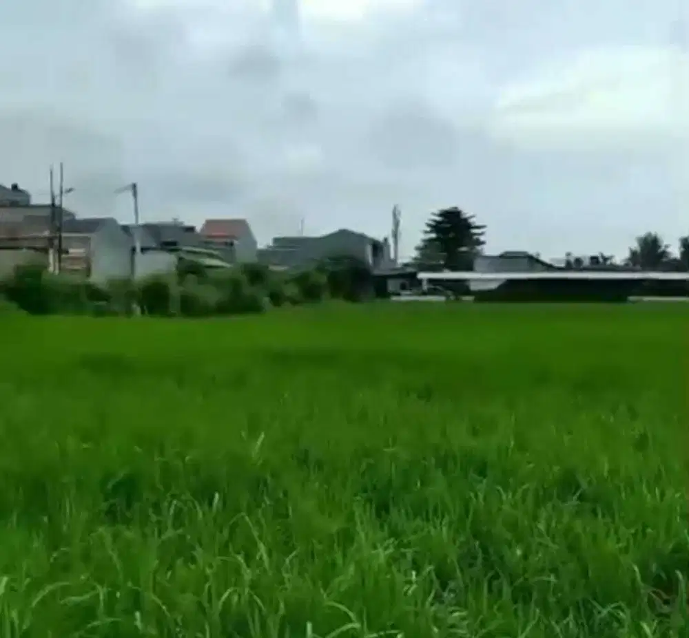 Tanah 8ha di Semanan Kalideres Jakarta Barat